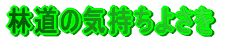 �ѓ��̋C�����悳��
