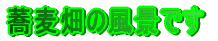 �������̕��i�ł�